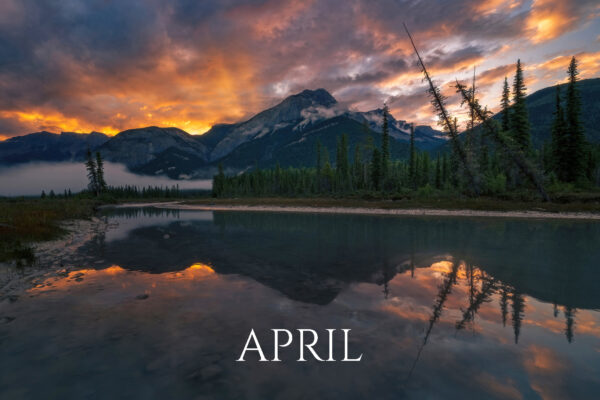 blaeriver_WEBSITE blaeriver_WEBSITE