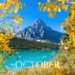 cephronfall_WEBSITE