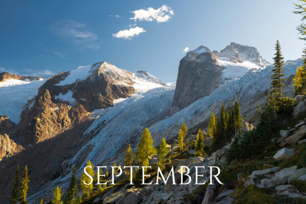 glacierlarches_WEBSITE glacierlarches_WEBSITE