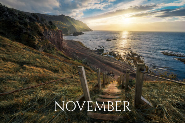 greengardens_WEBSITE greengardens_WEBSITE