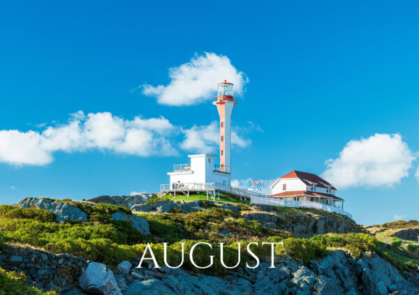 lighthouse_WEBSITE lighthouse_WEBSITE