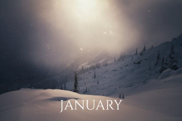 magictree_WEBSITE magictree_WEBSITE