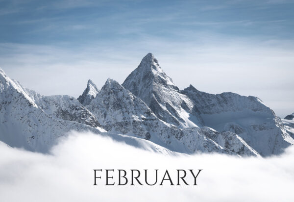 sirdonald_WEBSITE sirdonald_WEBSITE