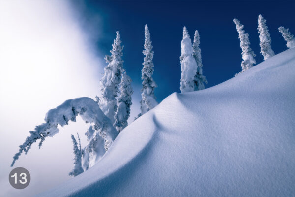 frosttreesprint frosttreesprint