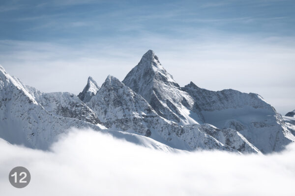 sirdonaldprint sirdonaldprint