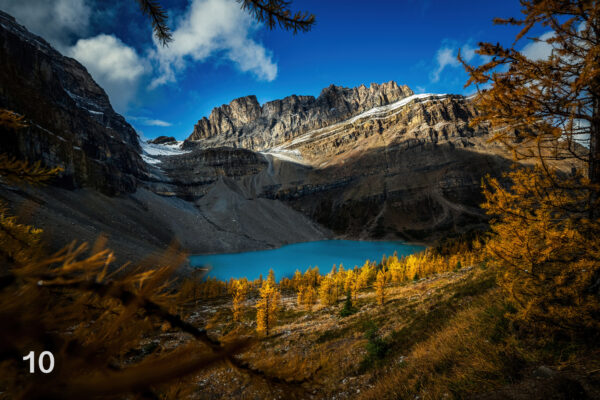 skokivalleyprint skokivalleyprint